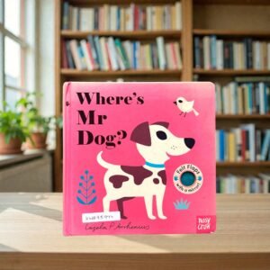 Where's Mr Dog?_Felt Flap With Mirror!_Nosy Crow_KWB85974