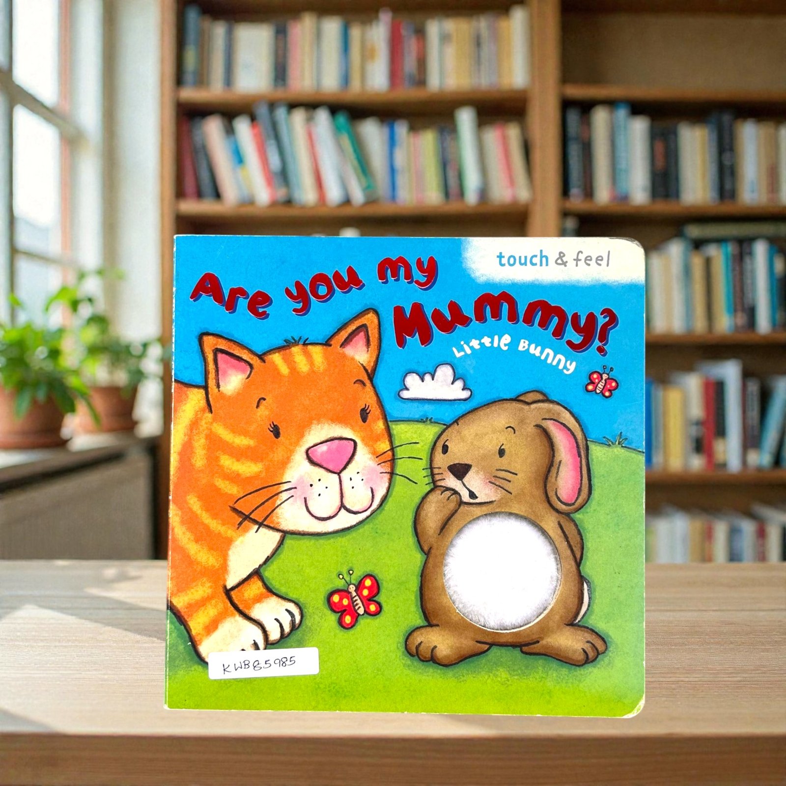 Are You My Mummy_Little Bunny_Touch And Feel Book_Igloo Books_KWB85985