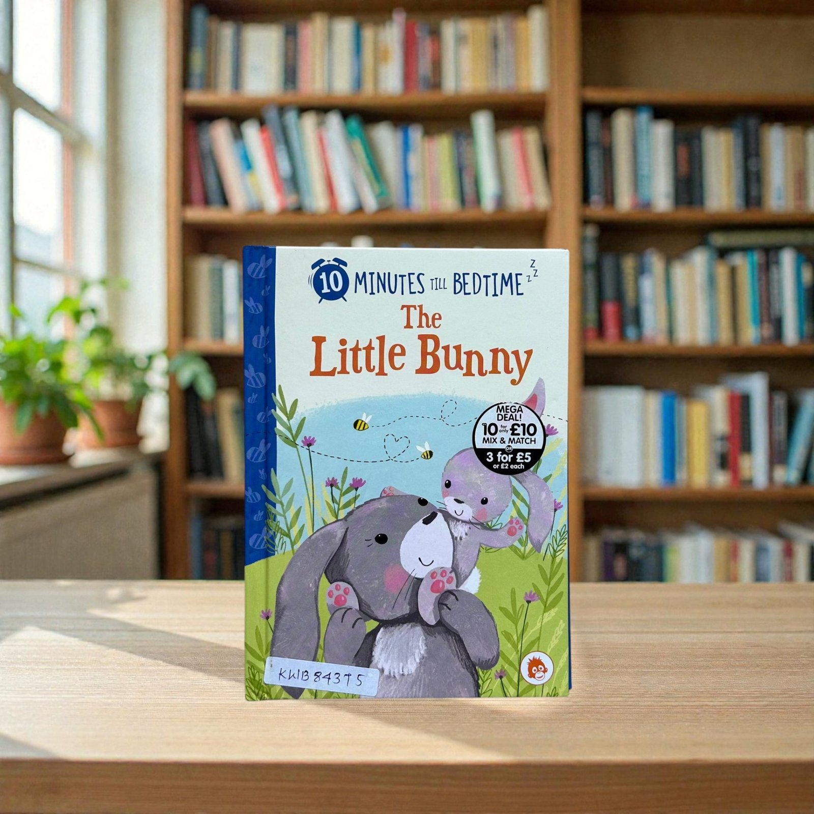 Pocket Friendly_The Little Bunny _Joanne Partis_KWB84375