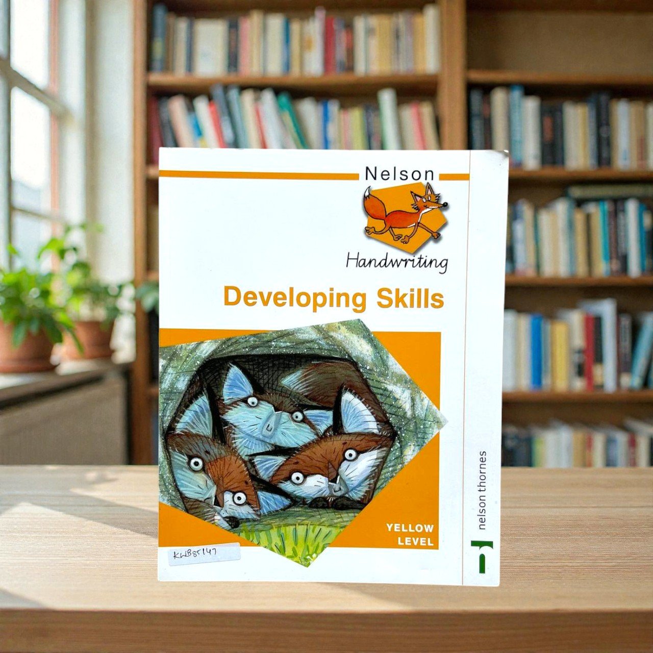 Developing Skills_Nelson Handwriting_Nelson Thornes_KWB85147