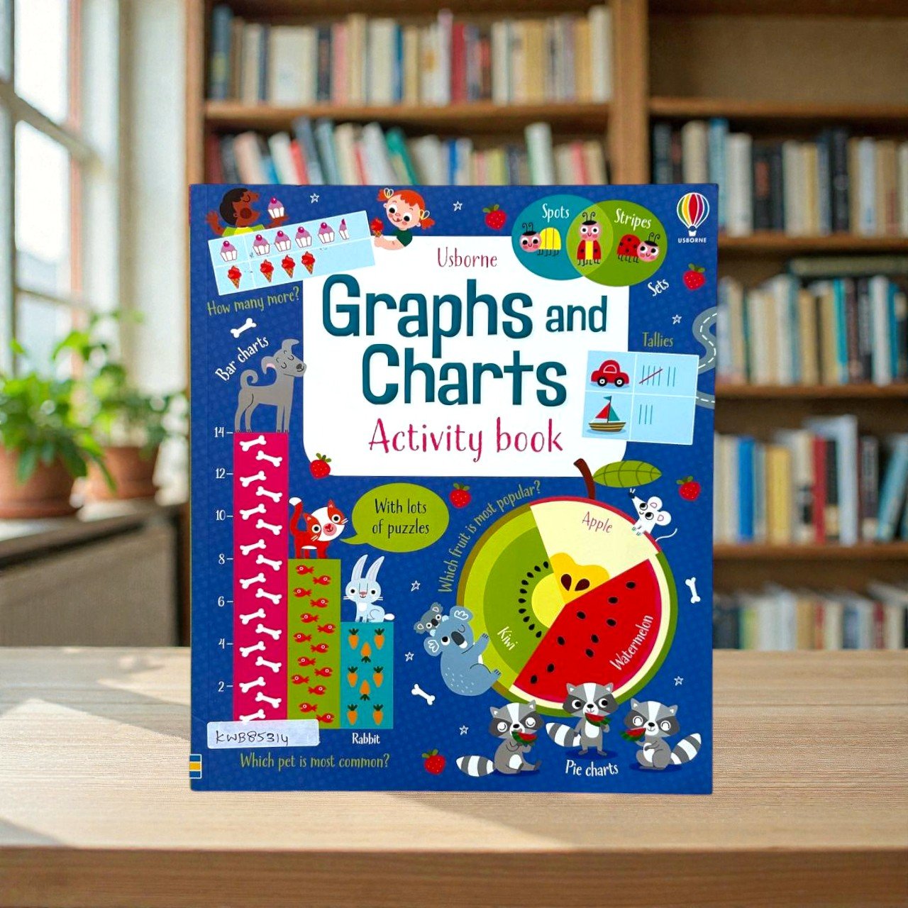 Graphs And Charts Activity Book_Usborne_KWB85314