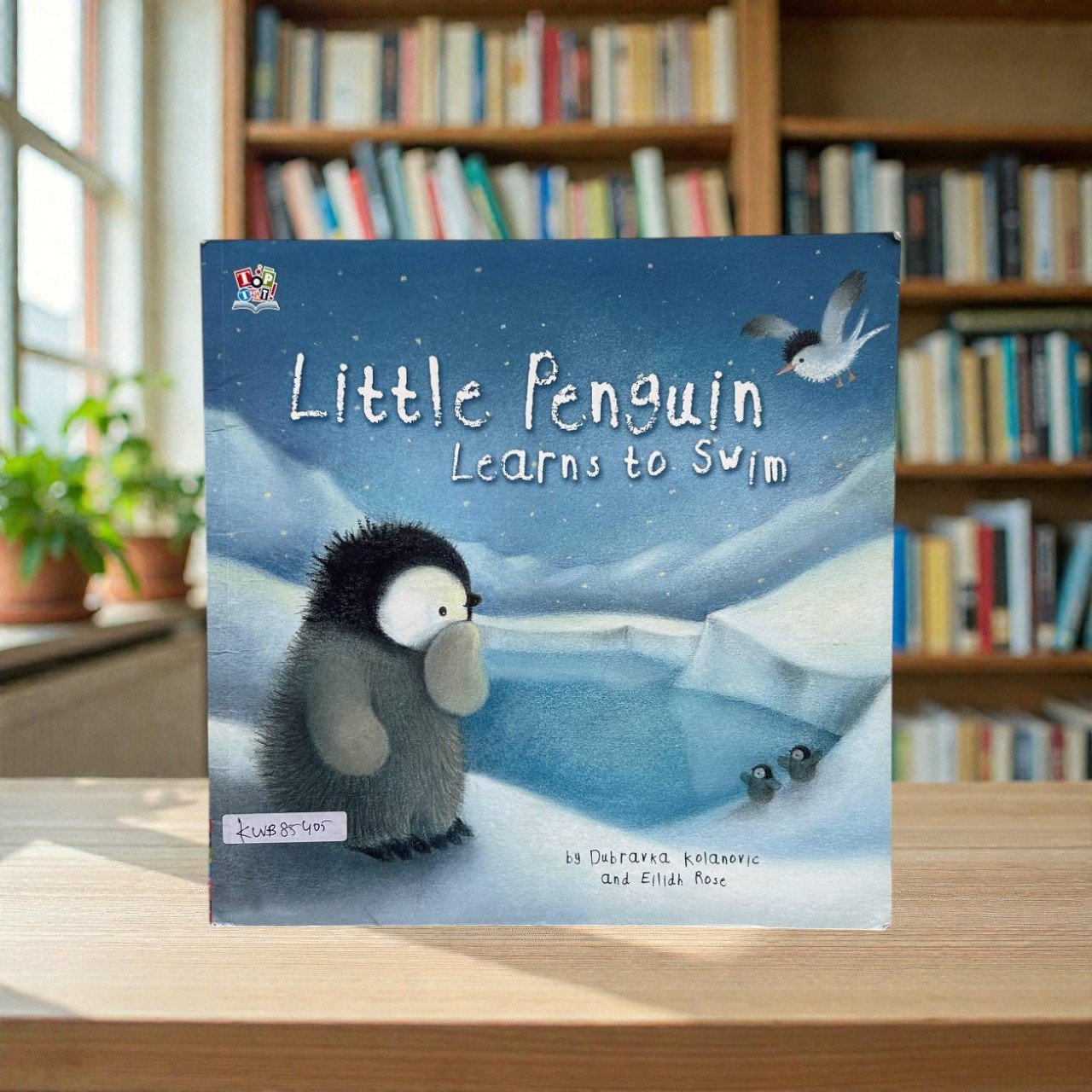 Little Penguin Learns To Swim_Eilidh Rose_KWB85405