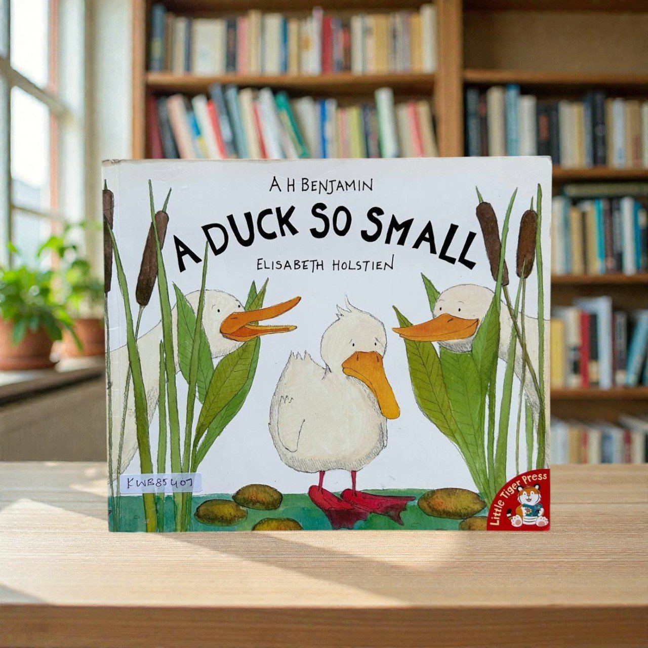 A Duck So Small_A H Benjamin_KWB85407
