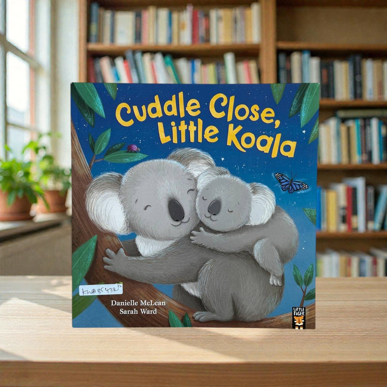 Cuddle Close, Little Koala_Danielle Mclean_KWB85432