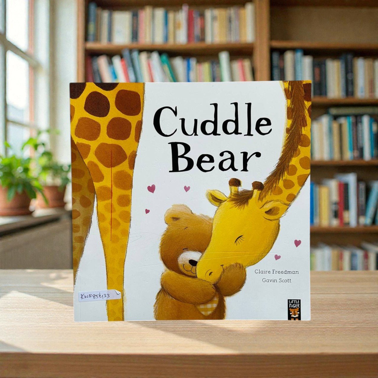 Cuddle Bear_Clarie Freedman_KWB85433