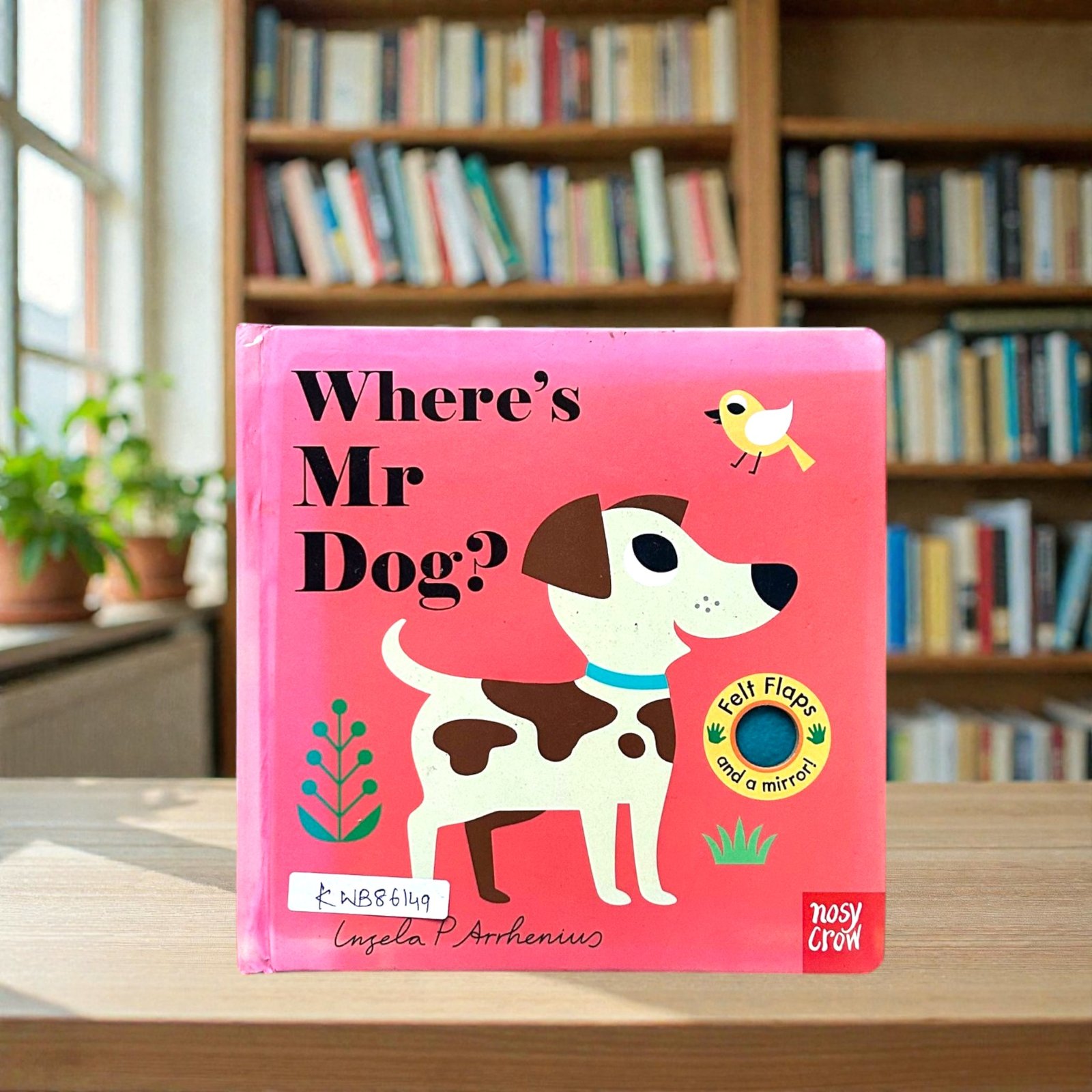Where's Mr Dog_Felt Flap With Mirror Book_Nosy Crow_KWB86149