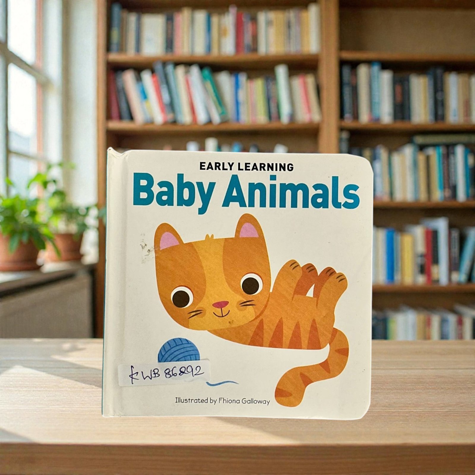 Baby Animals_Lake Press_KWB86292