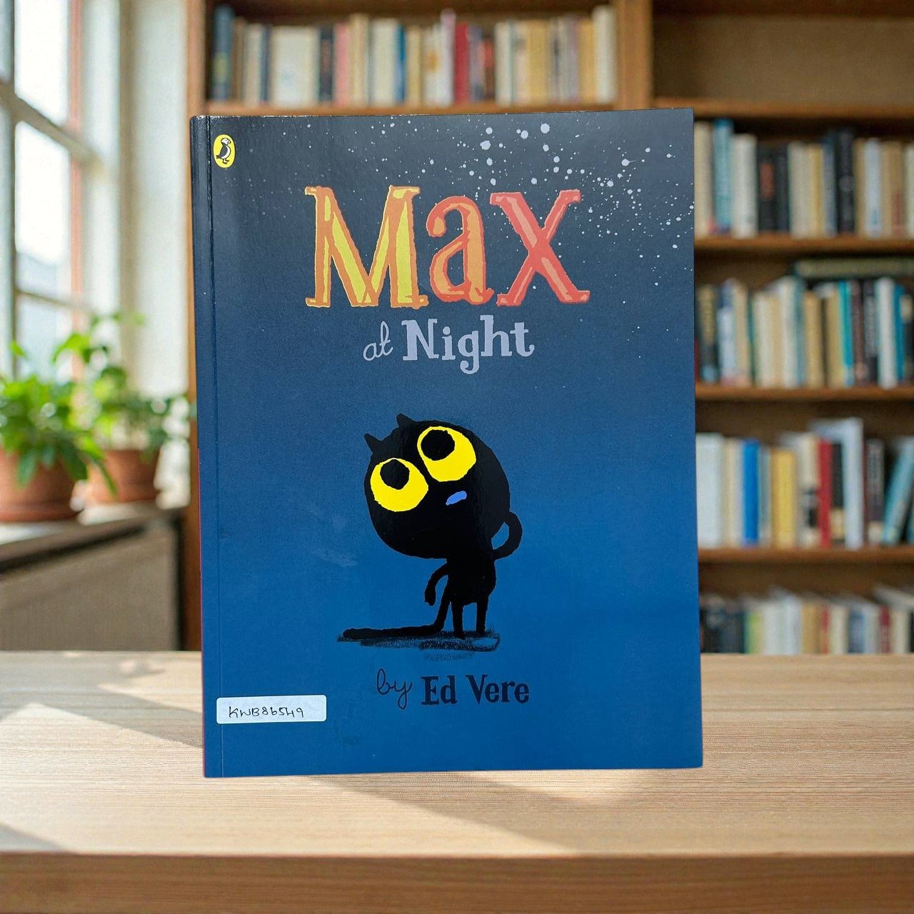 Max At Night_Ed Vere_KWB86549