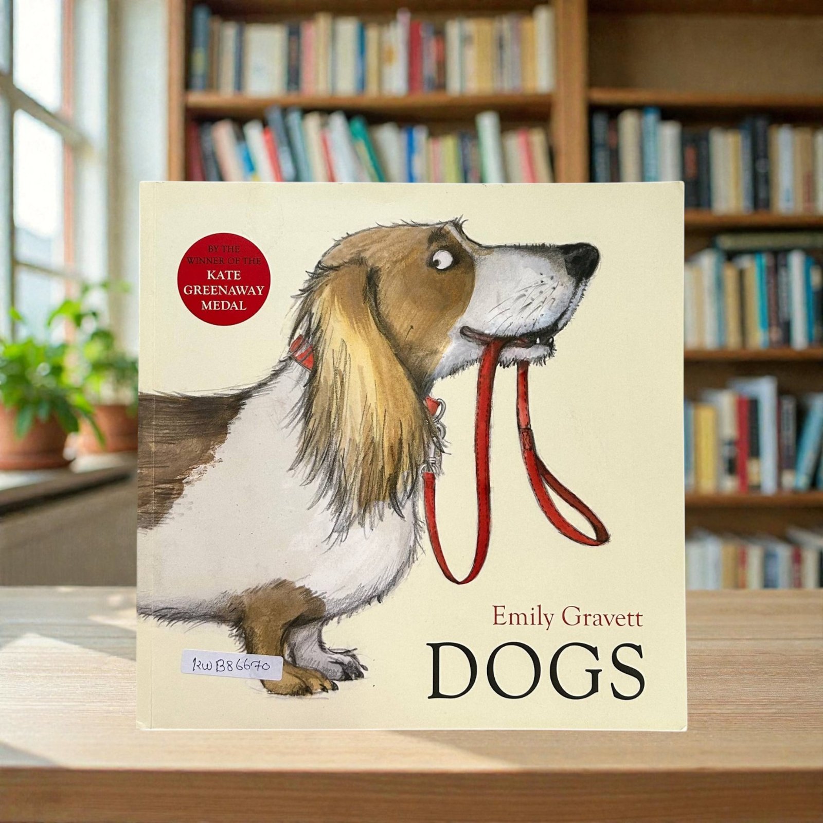 Dogs__KWB86670