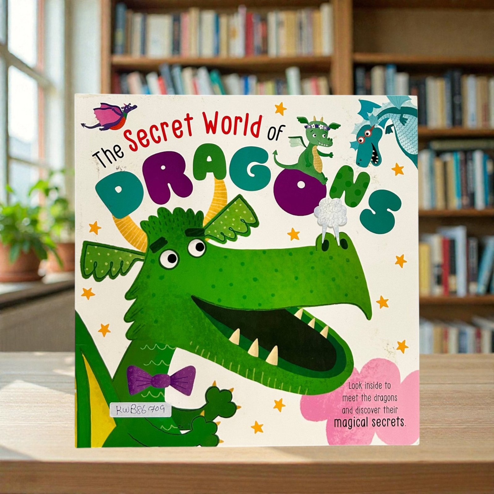 The Secret World Of Dragons__KWB86709
