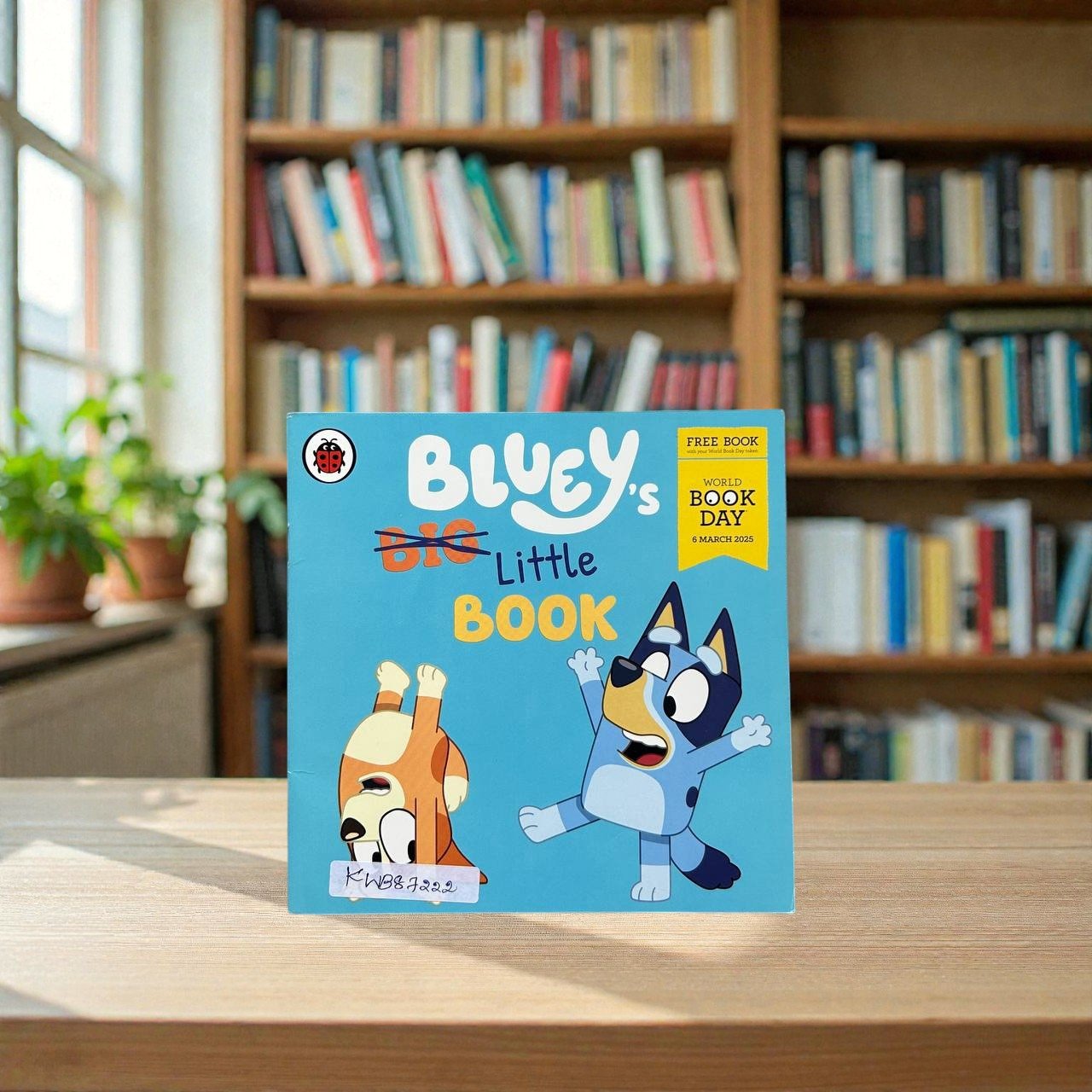 Pocket Friendly_Bluey's Little Book_Vivian Truong_KWB87222