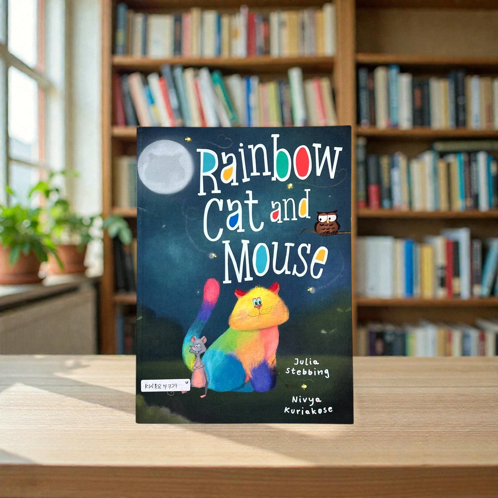 Rainbow Cat And Mouse_Used_Julia Stebbing_KWB87729