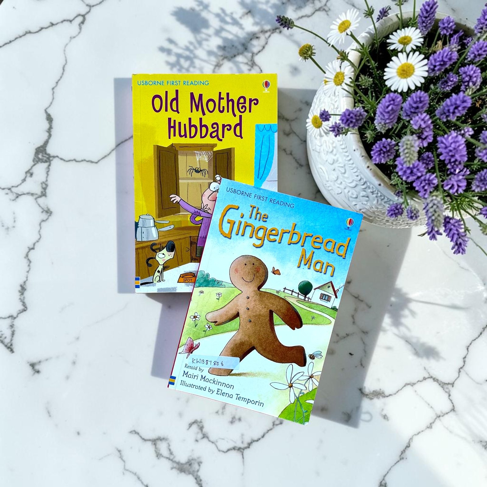 Usborne First Reading_Set Of 2 Books__KWB87806